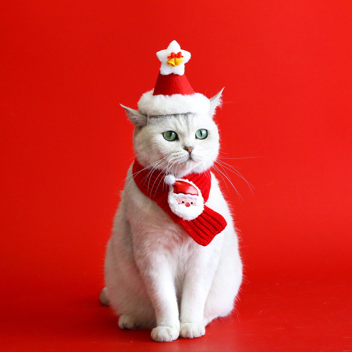 Kerst Sjaal met Kerstman - Hond & Kat - Winter Halsband - Honden Das Rood - Kerstpakje voor Honden en Katten - Kerstkostuum - Hondenkleding - Maat M