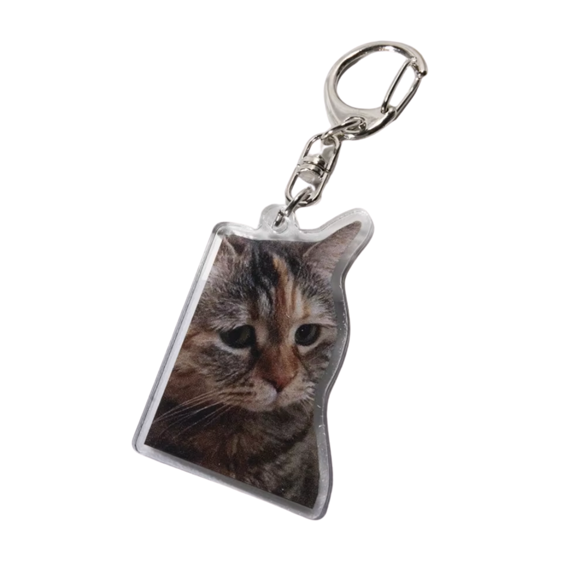 Grappige Katten Sleutelhanger – Kat Meme – Schattige & Unieke Accessoire voor Kattenliefhebbers - Sleutel Hanger - Tassenhanger - Kat / Poes (kopie)
