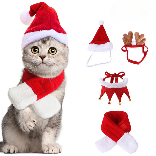 Dierenkleding