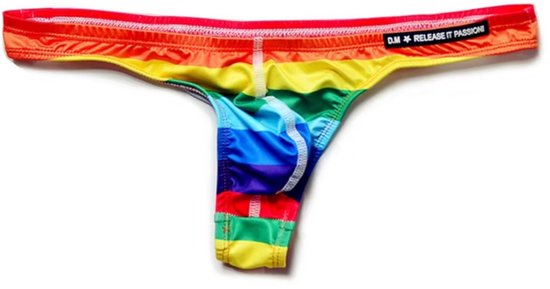 Sexy Heren Regenboog Zwemstring - String Model - Regenboog Kleuren LHBTQIA + - Mannen Zwembroek T-Back - Thong Swimwear - Ondergoed - Maat XL