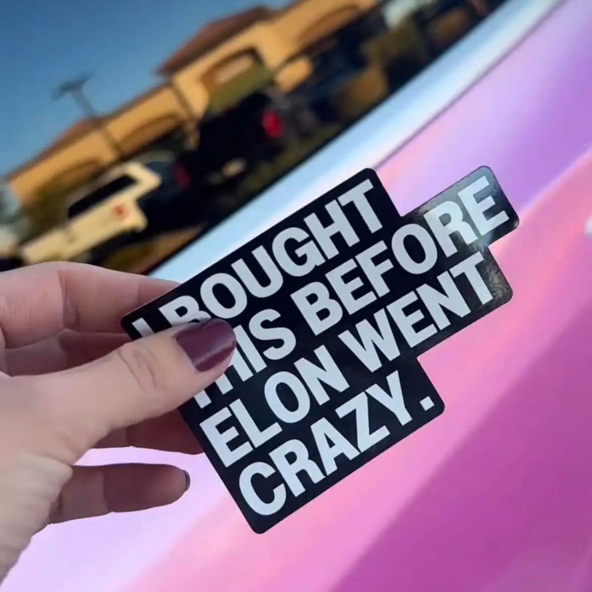 Auto Sticker - I BOUGHT THIS BEFORE ELON WENT CRAZY - Elon - Wit Zwart - 1 Meme Sticker - Hoogwaardig Vinyl - Autostickers Wrap Folie - Geschikt voor Tesla - Auto Accessoires