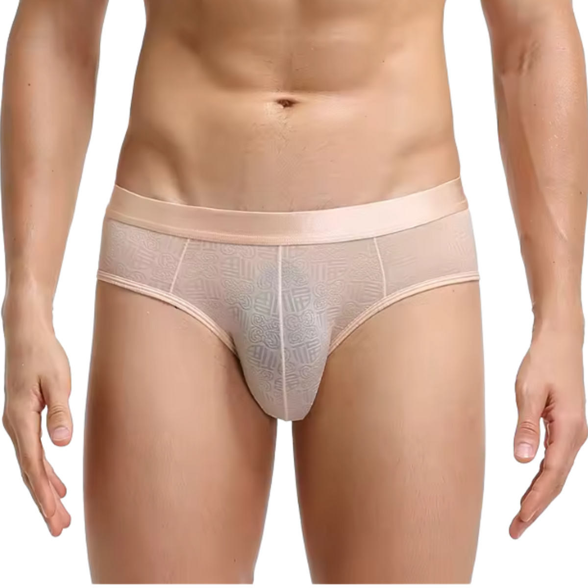 Heren Slip Transparant - Slip Doorzichtig Lichtroze / Nude - Sexy Mesh Design - Mannen Onderbroek - Lingerie Voor Mannen - Ondergoed Maat L