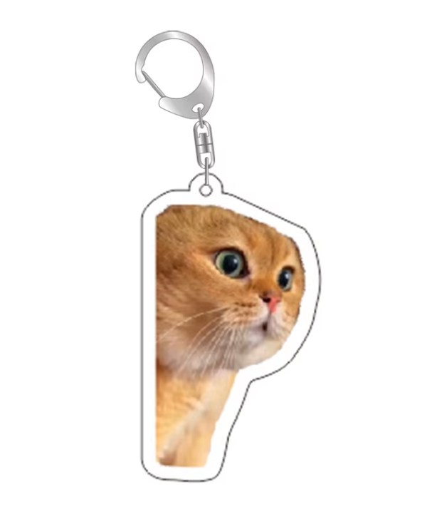 Grappige Katten Sleutelhanger – Verbaasde Kat Meme – Schattige & Unieke Accessoire voor Kattenliefhebbers - Sleutel Hanger - Tassenhanger - Kat / Poes