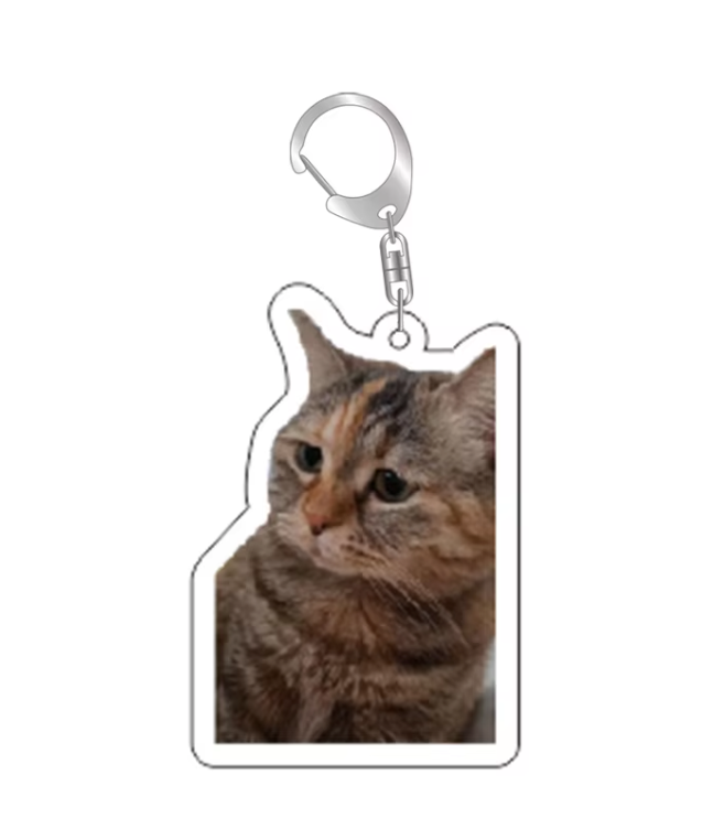 Grappige Katten Sleutelhanger – Kat Meme – Schattige & Unieke Accessoire voor Kattenliefhebbers - Sleutel Hanger - Tassenhanger - Kat / Poes (kopie)