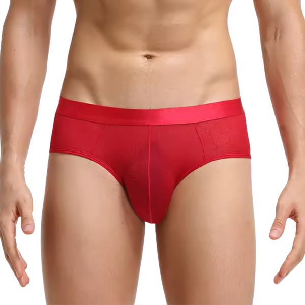Heren Slip Transparant  - Slip Doorzichtig Rood - Sexy Mesh Design - Mannen Onderbroek - Lingerie Voor Mannen - Ondergoed Maat XXL