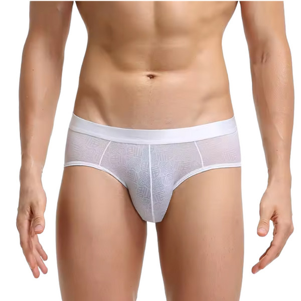 Heren Slip Transparant  - Slip Doorzichtig Wit - Sexy Mesh Design - Mannen Onderbroek - Lingerie Voor Mannen - Ondergoed Maat XXL