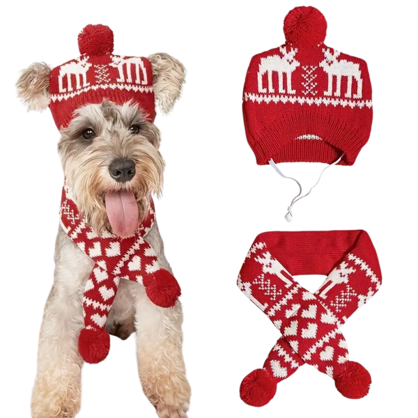 Winter Setje Hond - Kerst - 2 Delig - Sjaal en Muts - Rood Wit - Geschikt voor Honden - Winter Pakje - Hondenkleding - Maat L