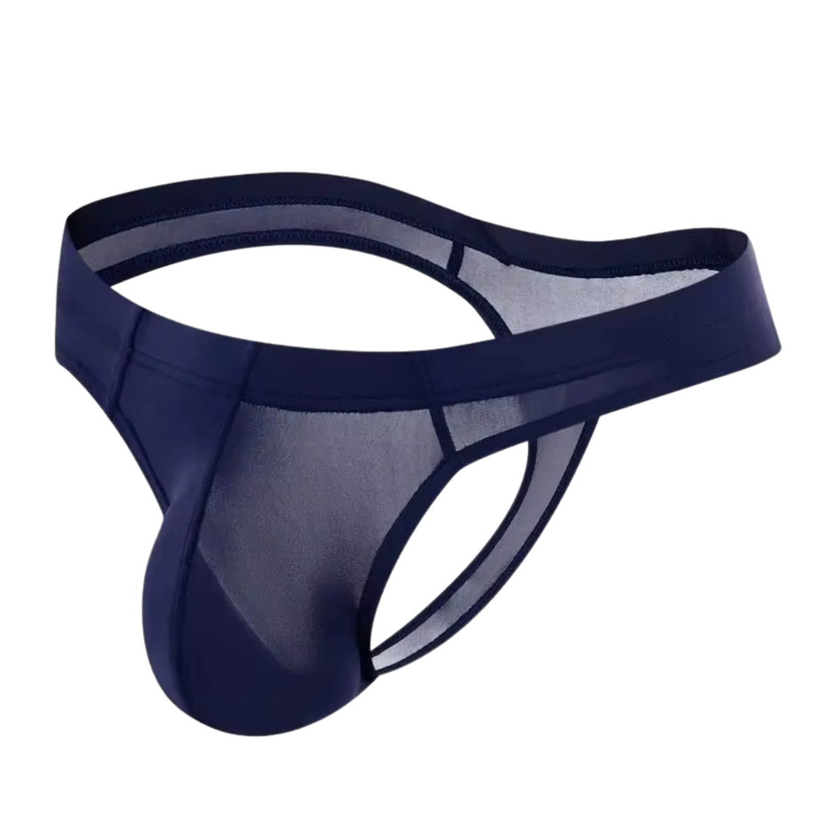 Heren String Transparant - G-String Doorzichtig Donkerblauw - Sexy Mesh Design - Mannen Onderbroek - Lingerie Voor Mannen - Ondergoed Maat XL