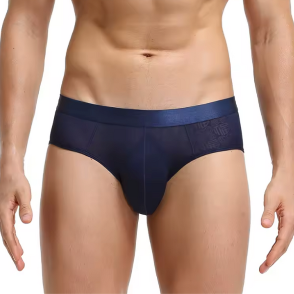 Heren Slip Transparant  - Slip Doorzichtig Donkerblauw - Sexy Mesh Design - Mannen Onderbroek - Lingerie Voor Mannen - Ondergoed Maat XXXL / 3XL