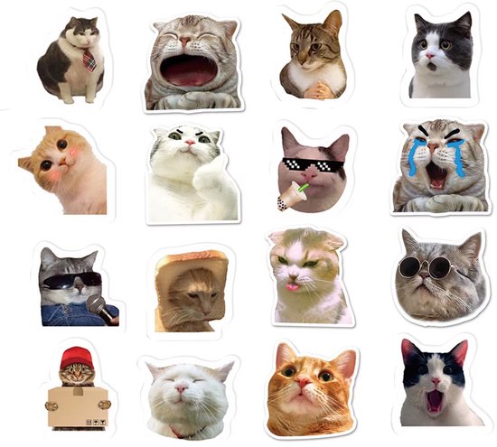 Grappige Kattenstickers op Rol – 500 Stuks | Katten Memes & Cute Stickers | Zelfklevende Stickers voor Scrapbooking, Laptop, Telefoon & DIY