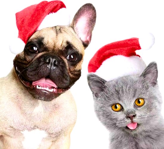 Kerstmuts Honden - Rood Wit - Kerst Mutsje met Elastische Band - Kerst Accessoire voor Honden en Grote Katten - Hondenkleding - Kattenkleding - One Size