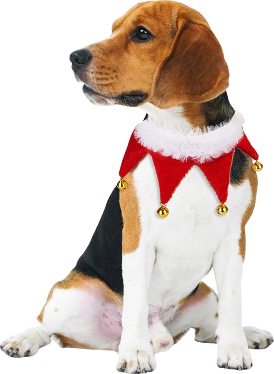 Kerst Acccessoires Set Hond & Kat - 4 Delig - Honden en Katten - Sjaal, Kraagje, Rendierhoorntjes en Kerstmuts - Kerstpakje voor Honden en Katten - Kerstkostuum - Hondenkleding