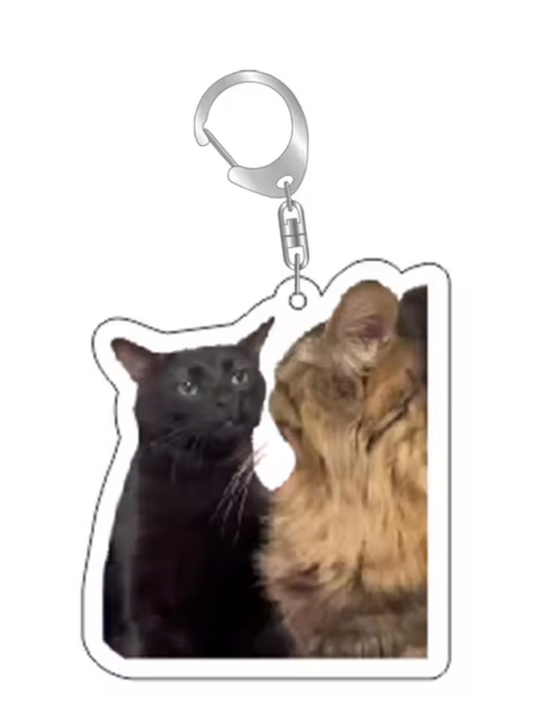 Grappige Katten Sleutelhanger – Starend Duo Meme – Schattige & Unieke Accessoire voor Kattenliefhebbers - Sleutel Hanger - Tassenhanger - Kat / Poes