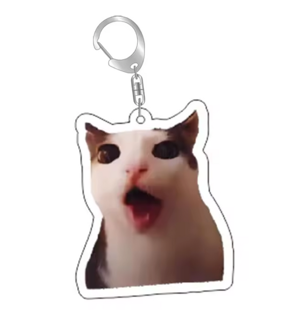 Grappige Katten Sleutelhanger – ASMR Kat Meme – Schattige & Unieke Accessoire voor Kattenliefhebbers - Sleutel Hanger - Tassenhanger - Kat / Poes