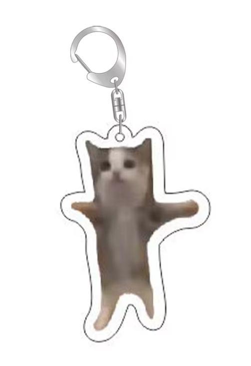 Grappige Katten Sleutelhanger – Staande Kat Meme – Schattige & Unieke Accessoire voor Kattenliefhebbers - Sleutel Hanger - Tassenhanger - Kat / Poes