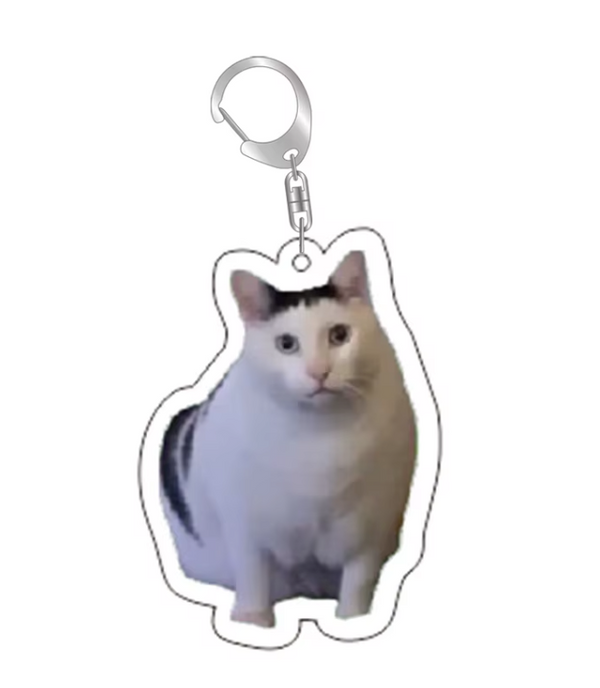 Grappige Katten Sleutelhanger – Verbaasde Witte Kat Meme – Schattige & Unieke Accessoire voor Kattenliefhebbers - Sleutel Hanger - Tassenhanger - Kat / Poes