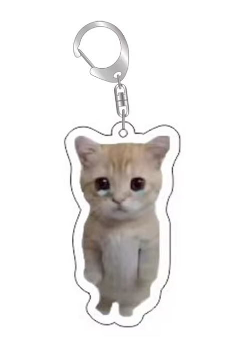 Grappige Katten Sleutelhanger – Zielige Kitten - Kat Meme – Schattige & Unieke Accessoire voor Kattenliefhebbers - Sleutel Hanger - Tassenhanger - Kat / Poes