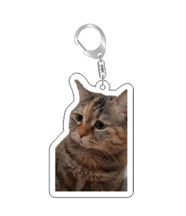 Grappige Katten Sleutelhanger – Kat Meme – Schattige & Unieke Accessoire voor Kattenliefhebbers - Sleutel Hanger - Tassenhanger - Kat / Poes (kopie)